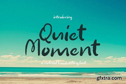 Quiet Moments FVGX23D
