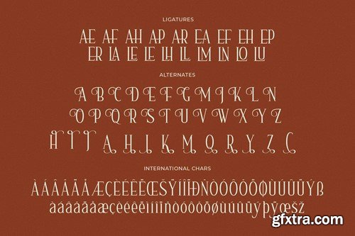 Nerhole Modern Serif Font ND47SE3