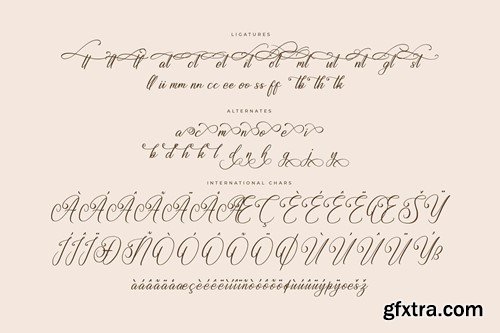 Mangithera Bountifulie Modern Script Font YVQ6HUL