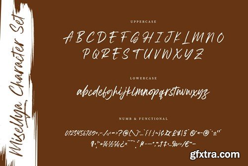 Misellya Brush Script Font BUB2EW7