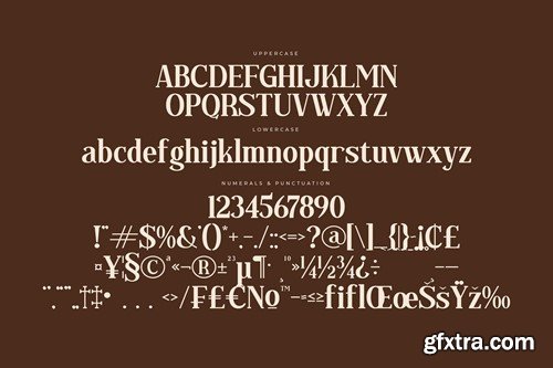 Regflina Modern Serif Font NK382S7