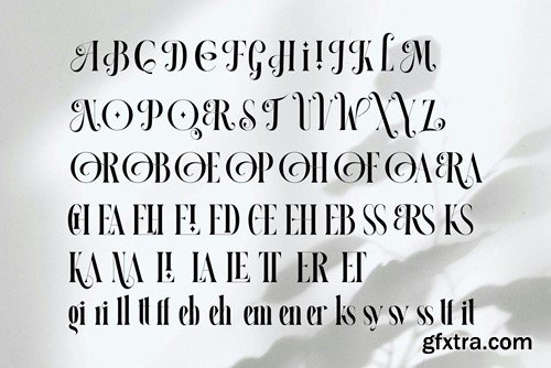 HIAR MIORIN Serif Typeface 4R7SGHB