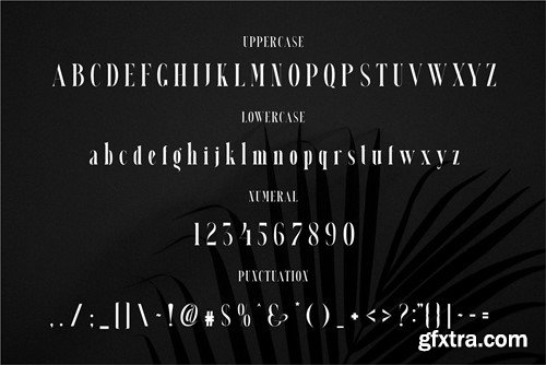 HIAR MIORIN Serif Typeface 4R7SGHB