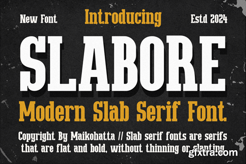 Slabore - Modern Slab Serif Font 94YXLUH