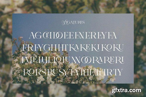 Bright Marching - Beauty Display Font 9ECEMJ6