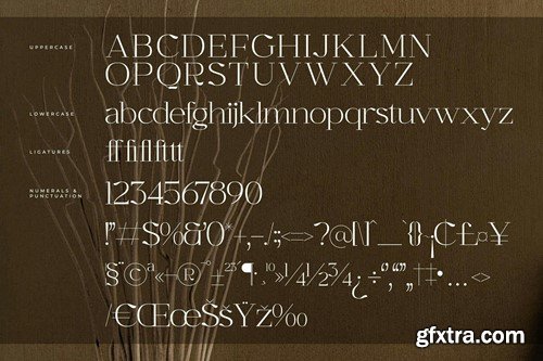 Graflows Modern Serif Font HWQCM6A