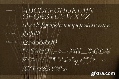 Graflows Modern Serif Font HWQCM6A