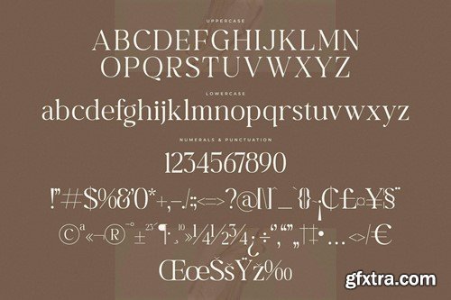 Begifta New Modern Serif Font 4SP6PSF