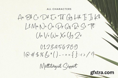 Palms Delight - Handwritten Script Font TT YPPX3PN