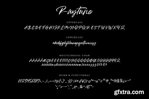 Raytune Signature Brush Typeface 75EELLD