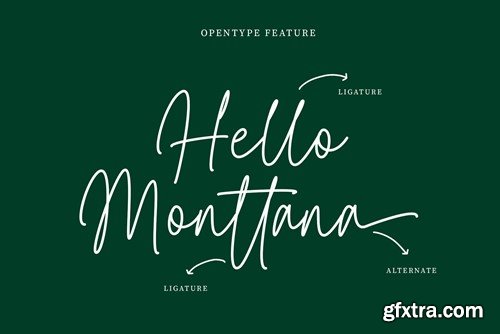 Bettasy Signature Font 7PMBMDS