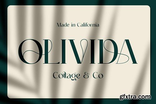 Grailga Modern Serif Typeface CT2M5PC