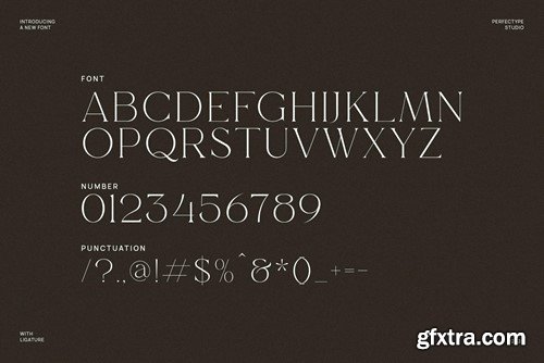 Moreta Elegant Serif Font Typeface 5HZQP9Z