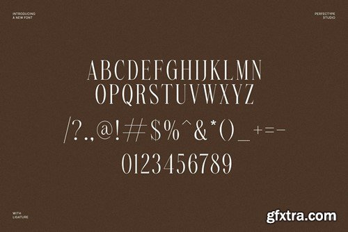 Glorious Elegant Serif Font Typeface AVV6DAT