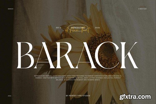 Barack Elegant Serif Font Typeface DBEBZ4J