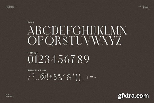 Barack Elegant Serif Font Typeface DBEBZ4J