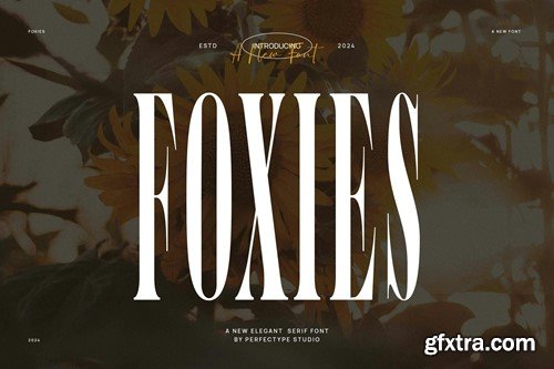 Foxies Elegant Serif Font Typeface 6KPAA7J