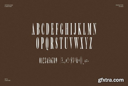 Foxies Elegant Serif Font Typeface 6KPAA7J