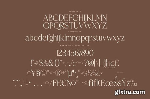 Casselin Modern Serif Font NRDK4JR