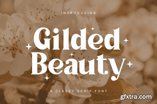 Gilded Beauty - A Classy Serif Font MPRH5C2
