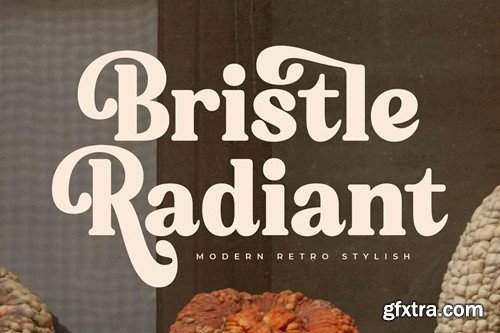 Bristle Radiant Modern Retro Stylish JFQYD8H