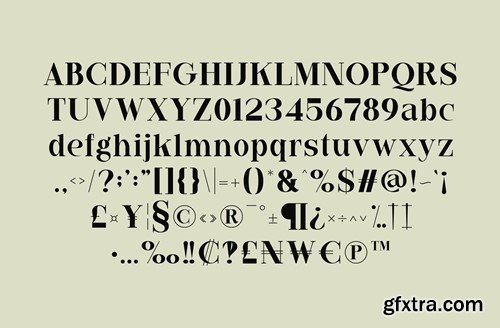 Bailse - Serif Font 887GD23