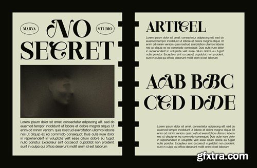 Bailse - Serif Font 887GD23