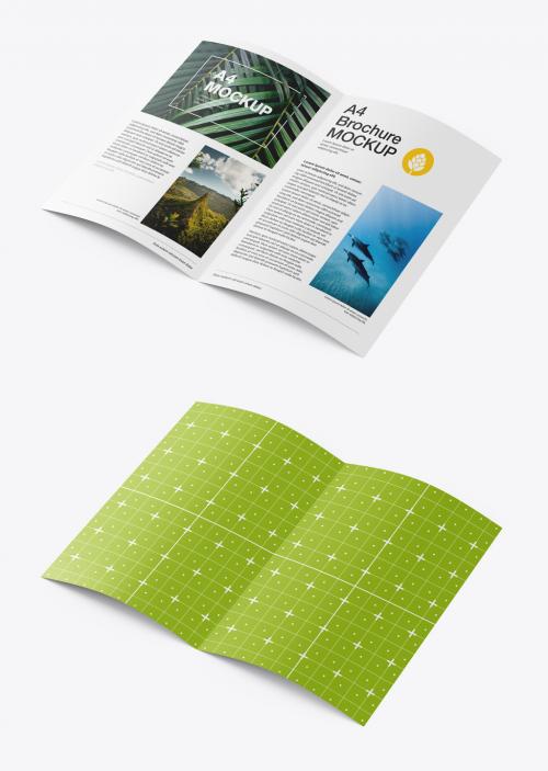 Matte Brochure Mockup - 473850260