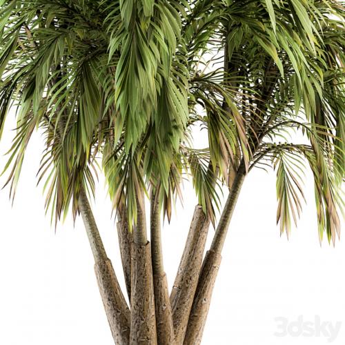 Tree Green Palm bunch - Set 32