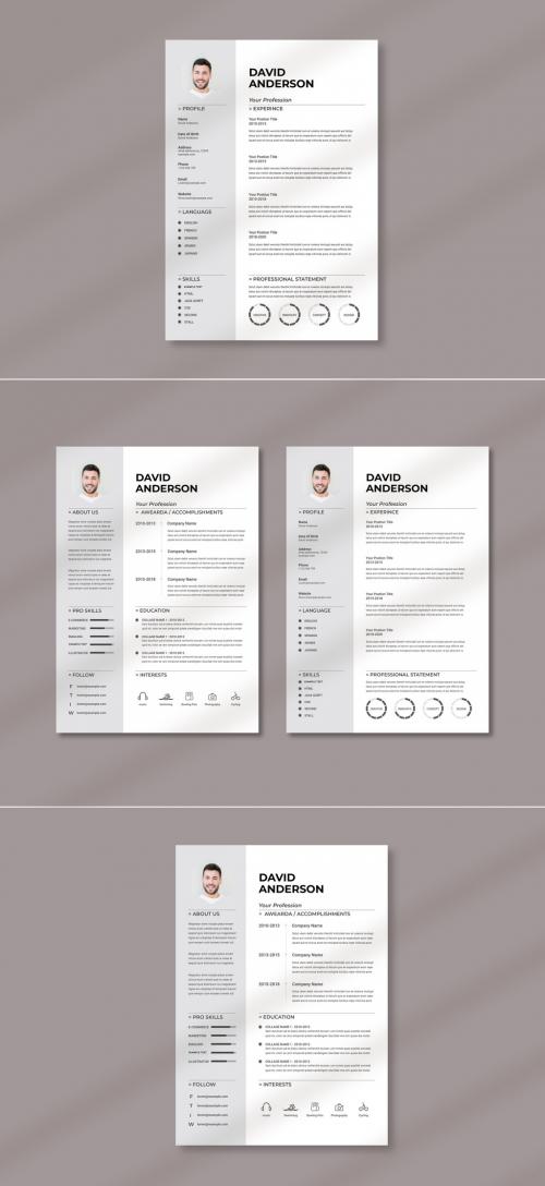 Professional Resume - 474092745