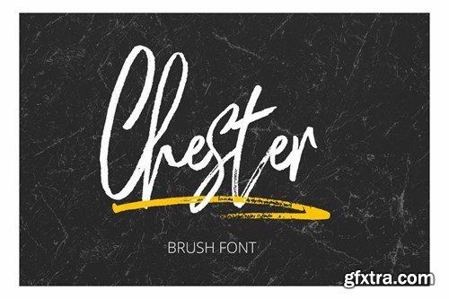 Chester Brush XJ6Y95P