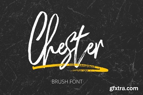 Chester Brush XJ6Y95P