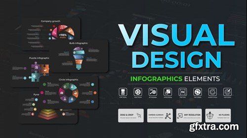 Videohive Infographic - Visual Design 51311108