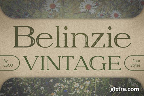 Belinzie Vintage 474FR37