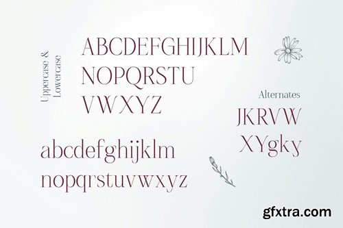 Rose & Asmora - Stylish Ligature Serif 26CK4ZK