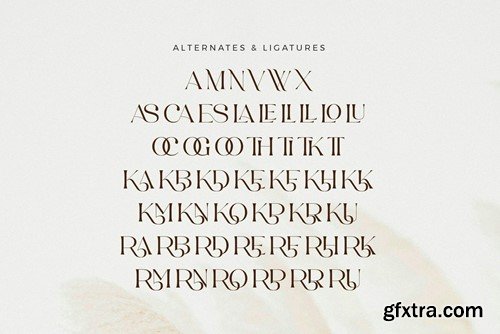 Askha - Beautifull Ligature Font FJAMQG3