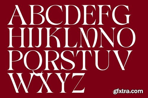 Maeda Unique Serif Display Font 2YY5L6X