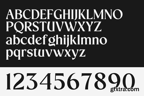 Erstoria Bold Serif Display Font ZGVB2V3