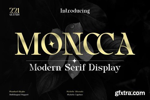 Moncca - Modern Serif Display XCQR7BR