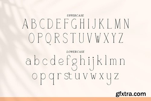 Chanelle - An Elegant Serif Font QRGFUJ4