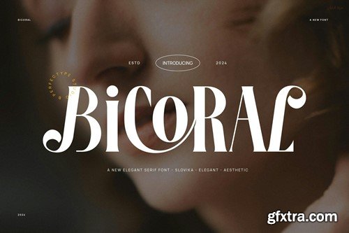 Bicoral Elegant Serif Font Typeface S384AAZ