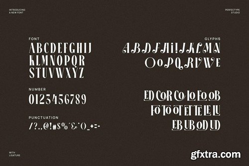 Bicoral Elegant Serif Font Typeface S384AAZ