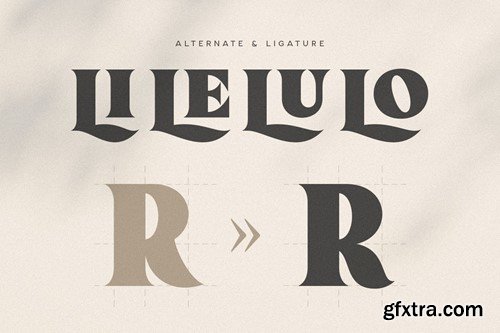 Curious - Modern Classy Luxury Font 648DUDK