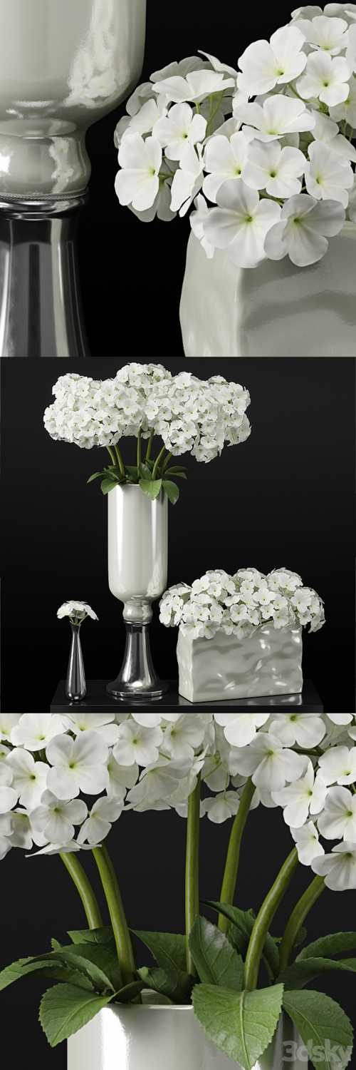 Hydrangeas arrangements-hydrangea