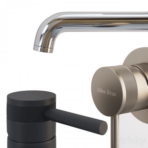 Allen Brau Priority Basin Faucet Set