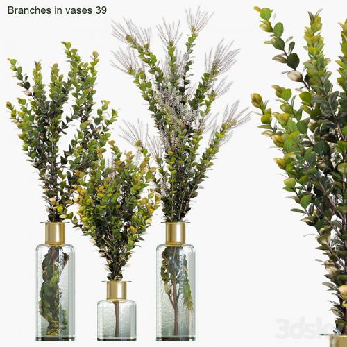 Branches in vases 39