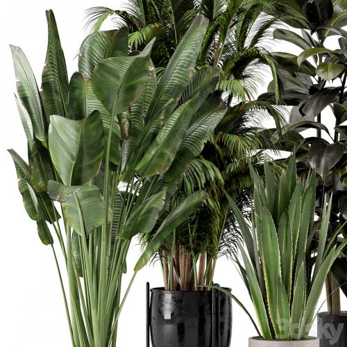 Indoor Plants in Ferm Living Bau Pot Large - Set 572