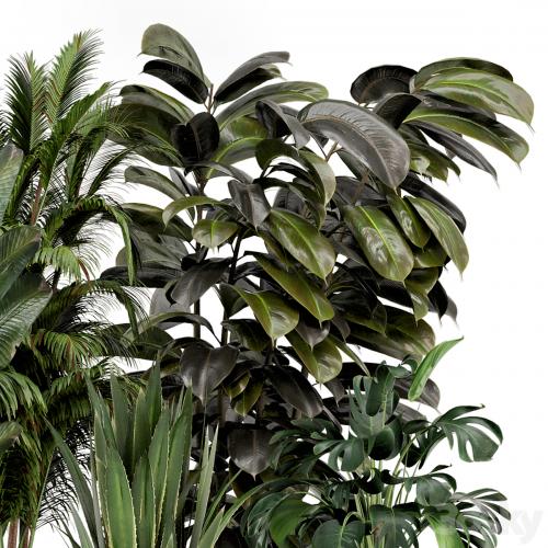 Indoor Plants in Ferm Living Bau Pot Large - Set 572