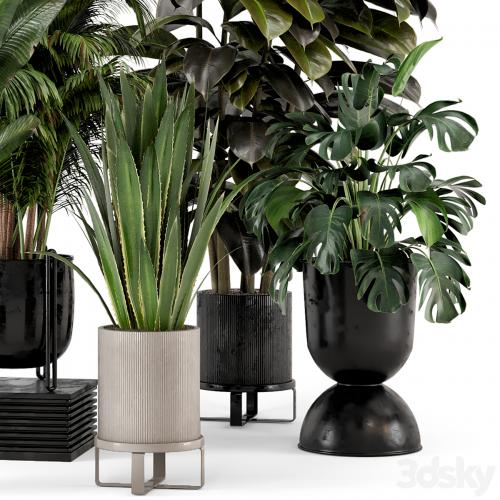 Indoor Plants in Ferm Living Bau Pot Large - Set 572
