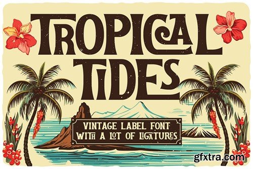 Tropical Tides Vintage Label Font NHXTHBJ